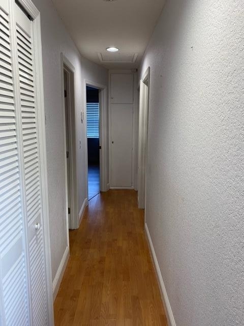 2545 Palm Road - Photo 6