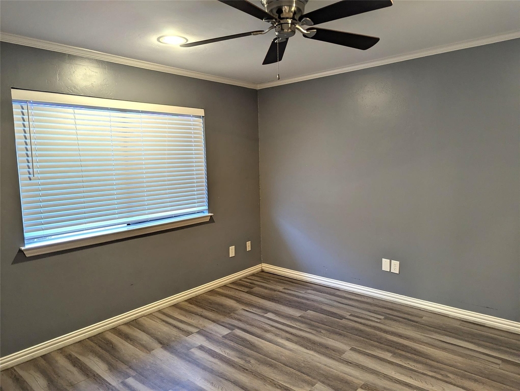 509 Pine Trail Drive - Photo 13