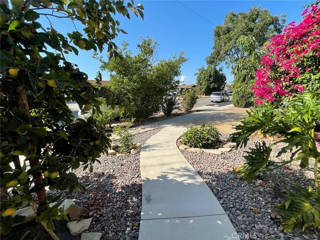 14102 Charmola Drive - Photo 1