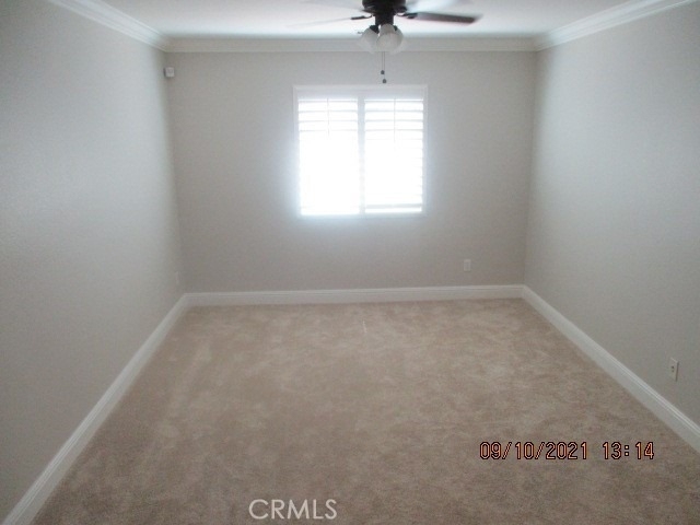 32059 Meadow Wood Lane - Photo 18