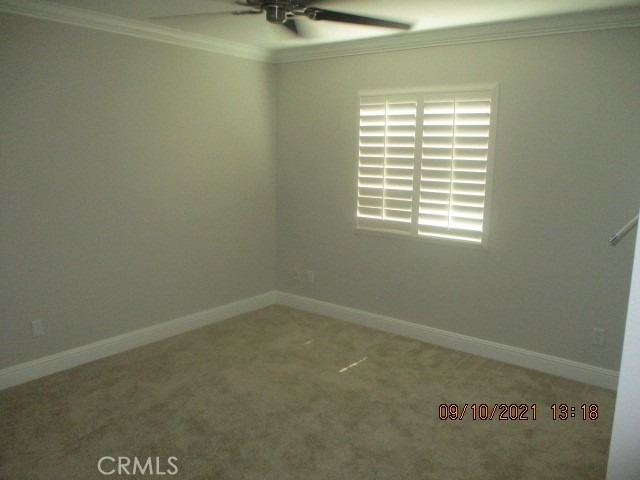 32059 Meadow Wood Lane - Photo 40