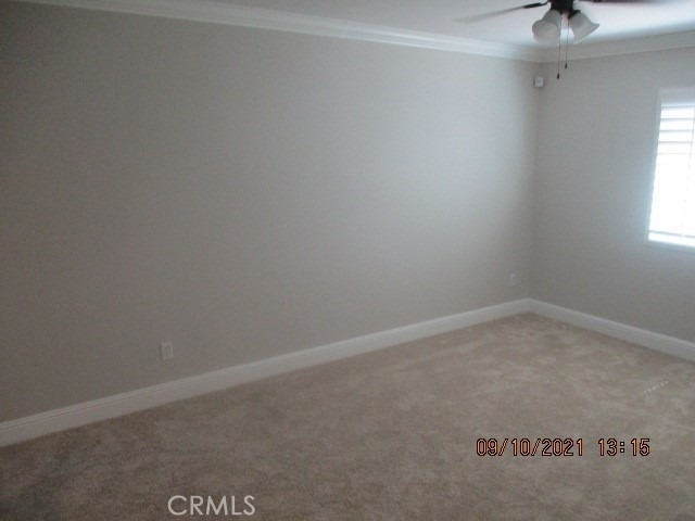 32059 Meadow Wood Lane - Photo 19