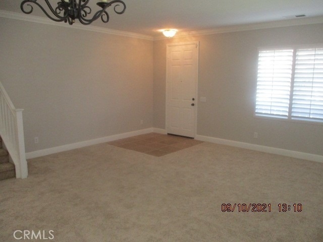 32059 Meadow Wood Lane - Photo 1