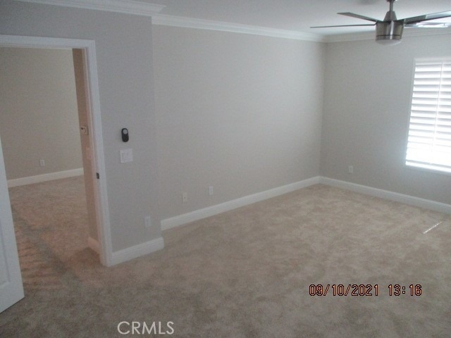 32059 Meadow Wood Lane - Photo 24
