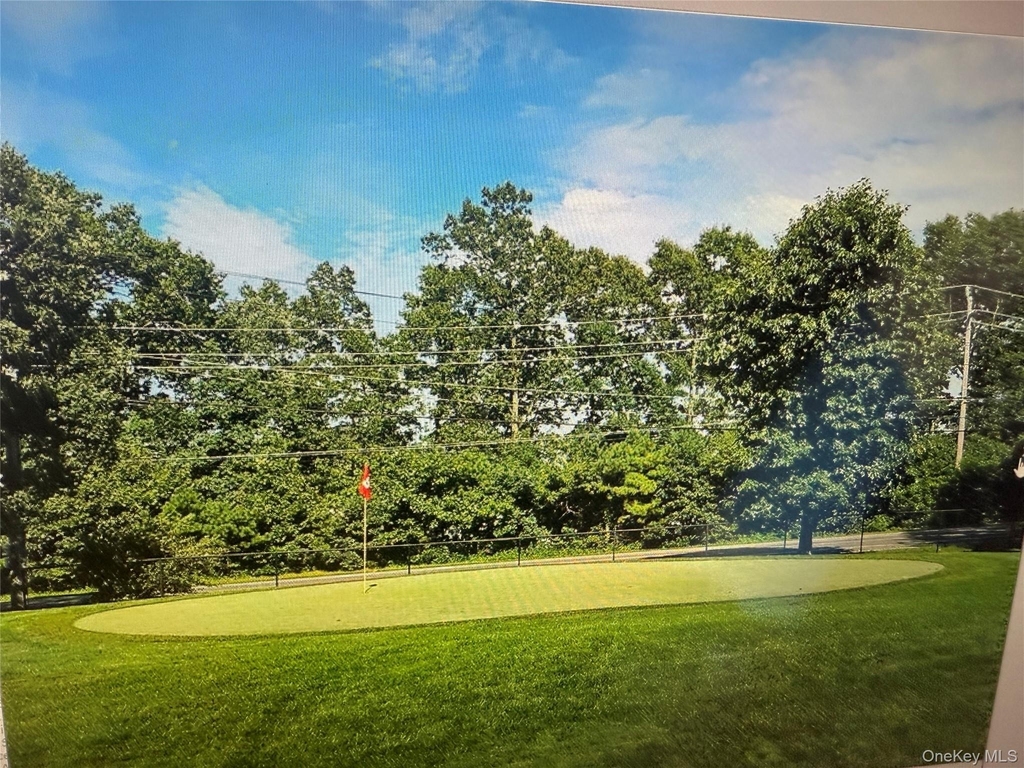 333 A Woodbridge - Photo 24