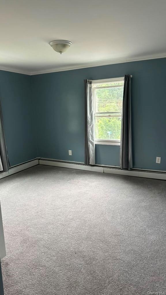 24 Rome Avenue - Photo 4