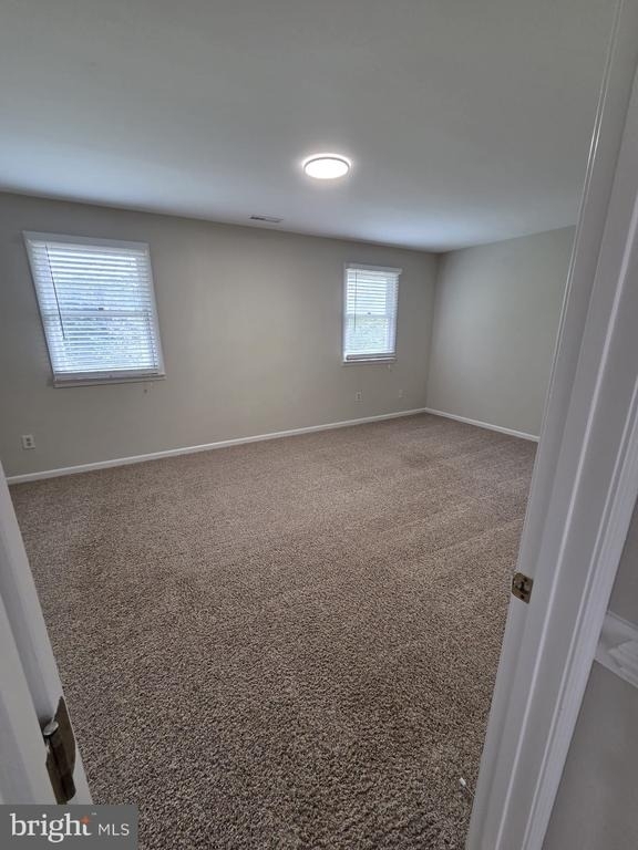 41234 Bridges Farm Lane - Photo 13