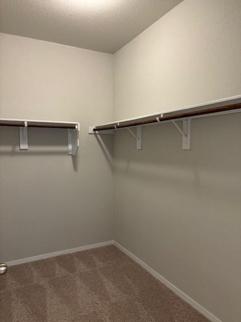 404 Black Opal Dr - Photo 29