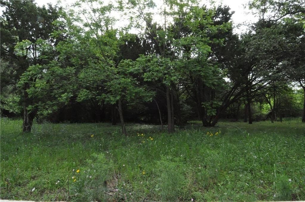 13405 Saddlebrook Trl - Photo 17