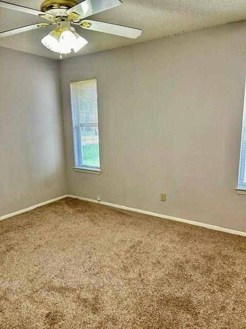 3413 Rocky Hollow Trl - Photo 13