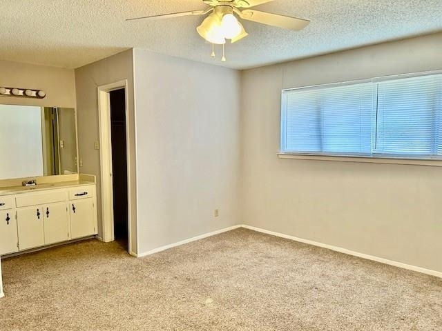 3413 Rocky Hollow Trl - Photo 21