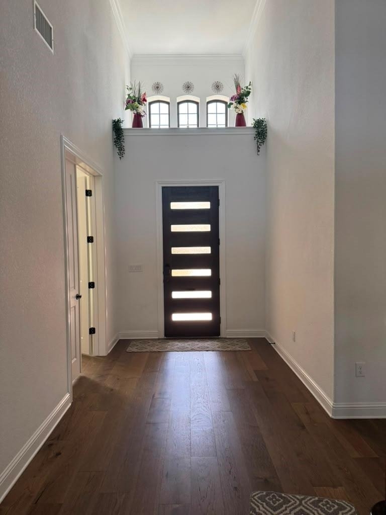 4529 Port Bari Dr - Photo 6