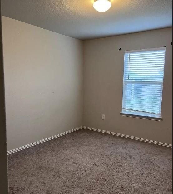135 Smokebush Trl - Photo 8
