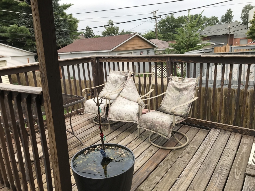3016 Wesley Avenue - Photo 1