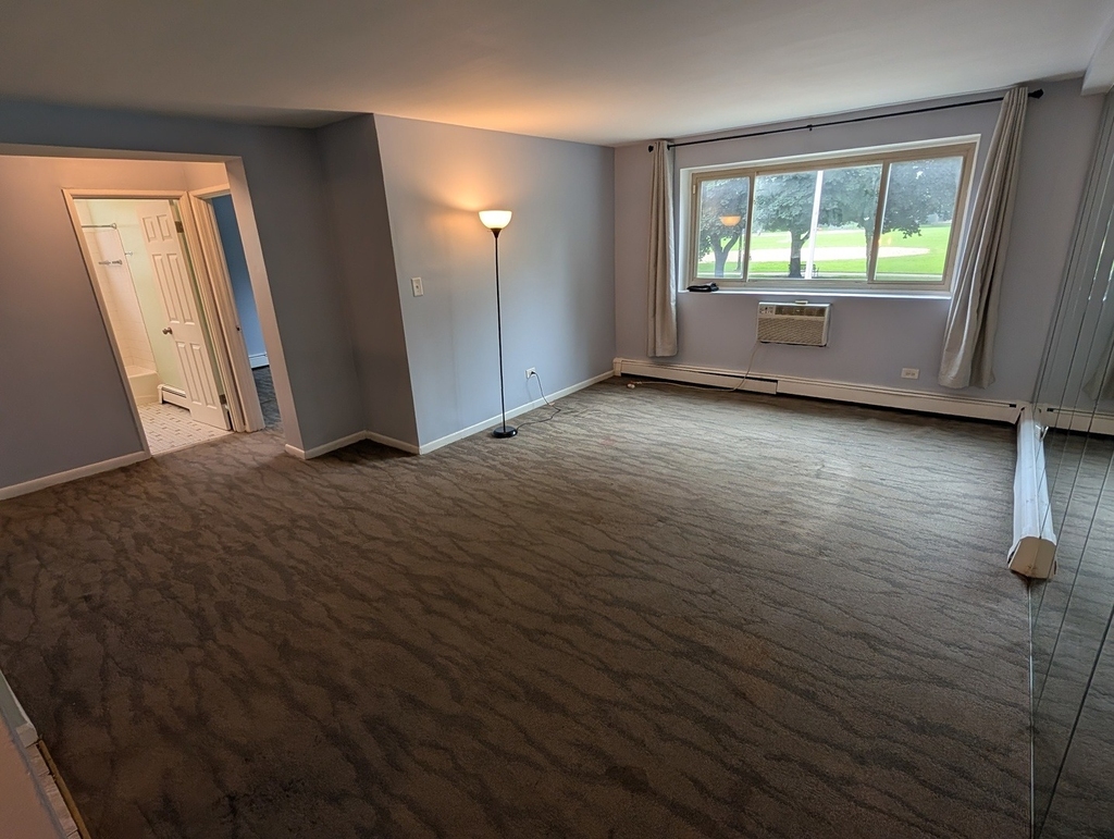 4939 S Dorchester Avenue - Photo 1