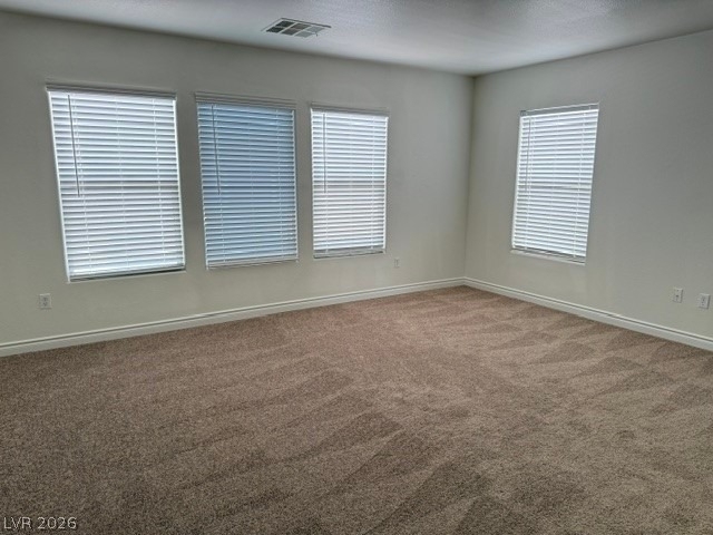8012 Dutch Villas Street - Photo 8