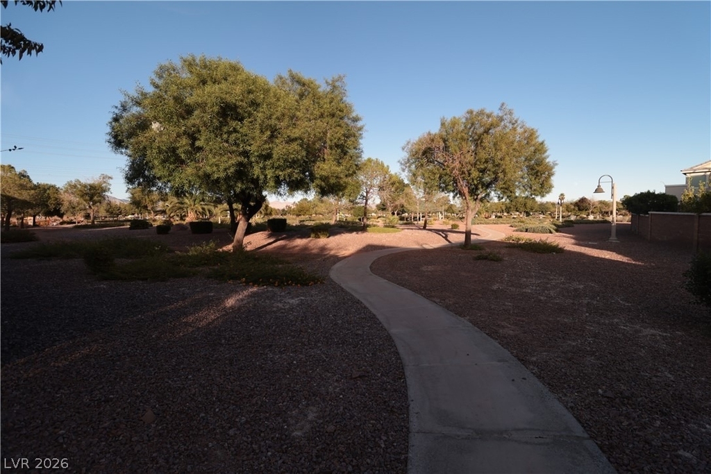5940 Feral Garden Street - Photo 32