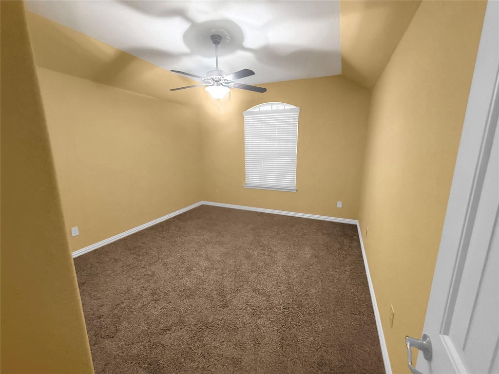 909 Blanco Lane - Photo 9