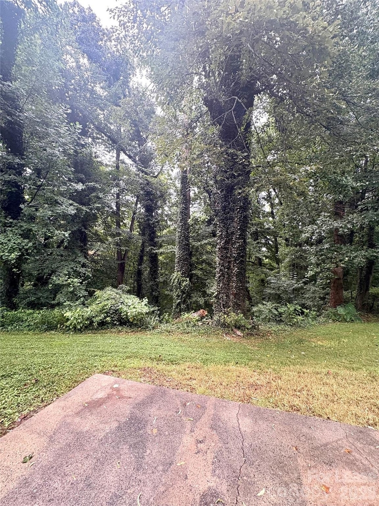 5517 Brook Falls Court - Photo 3