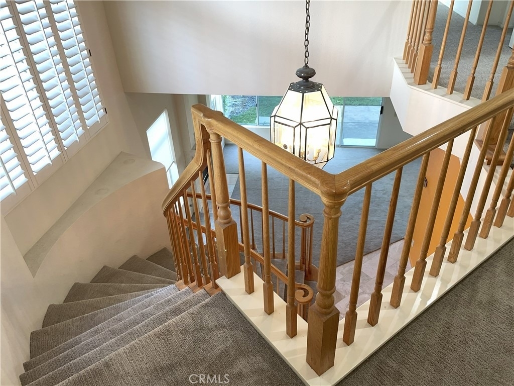14 Imperatrice - Photo 25