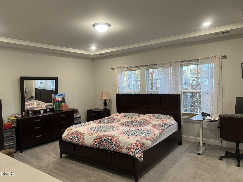 1205 Spring Wheat Court - Photo 34