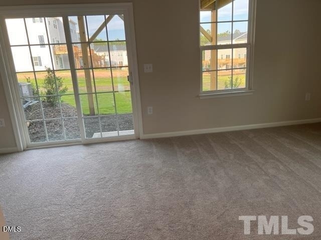 1009 Romeria Drive - Photo 2
