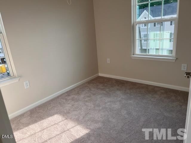 1009 Romeria Drive - Photo 9
