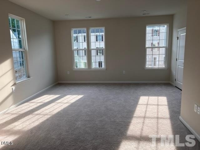 1009 Romeria Drive - Photo 7