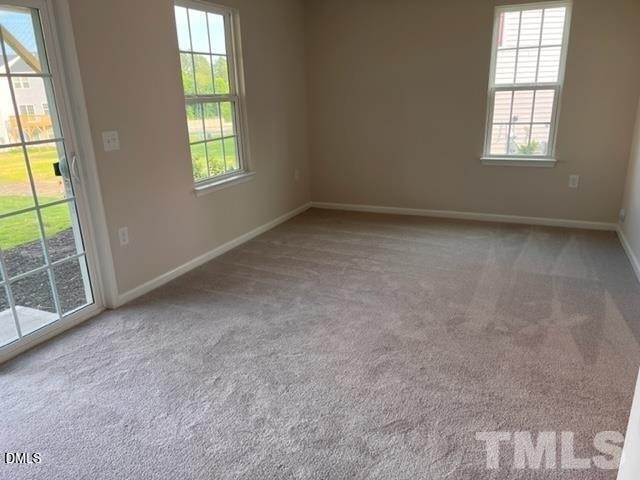 1009 Romeria Drive - Photo 3