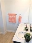 1108 Laceflower Ln - Photo 20