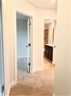 1108 Laceflower Ln - Photo 15