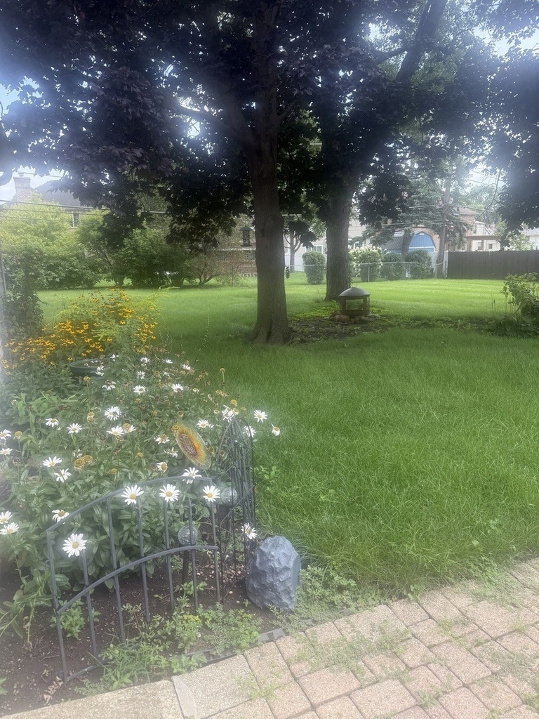 479 N Elm Avenue - Photo 13