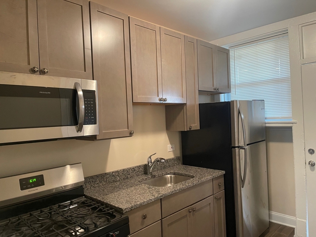 2540 W Thorndale Avenue - Photo 3