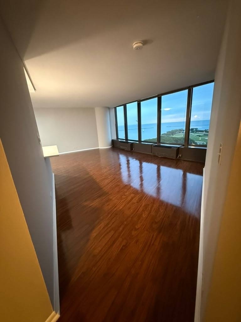 505 N Lake Shore Drive - Photo 32
