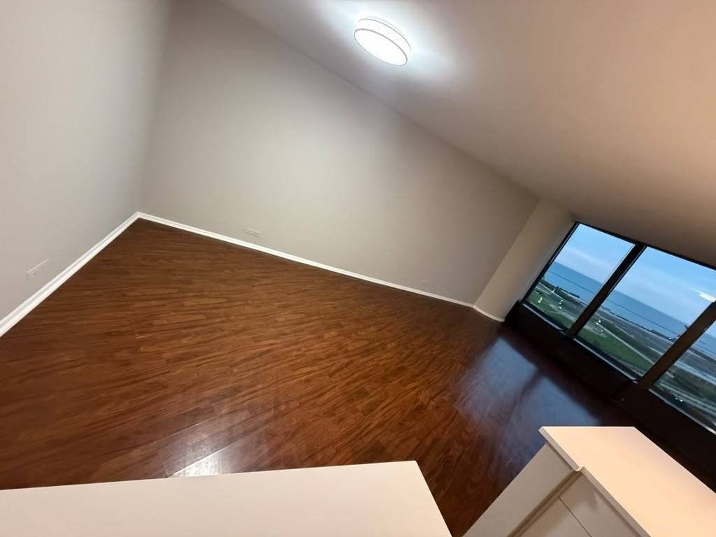 505 N Lake Shore Drive - Photo 29