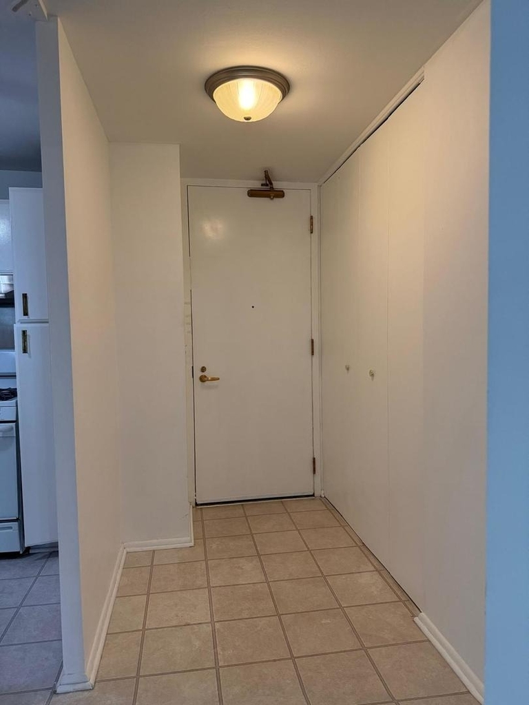 400 E Randolph Street - Photo 4