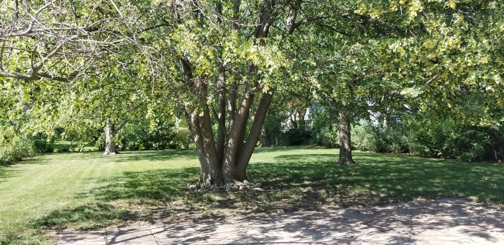 3402 Winnetka Road - Photo 17