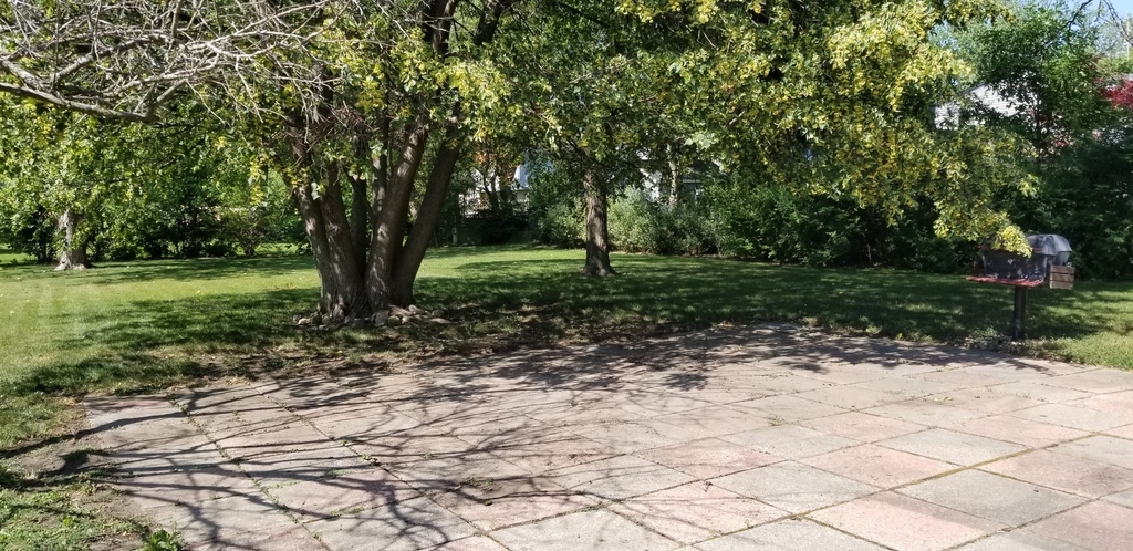 3402 Winnetka Road - Photo 18