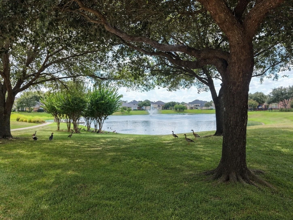 20018 Rene Creek Court - Photo 22