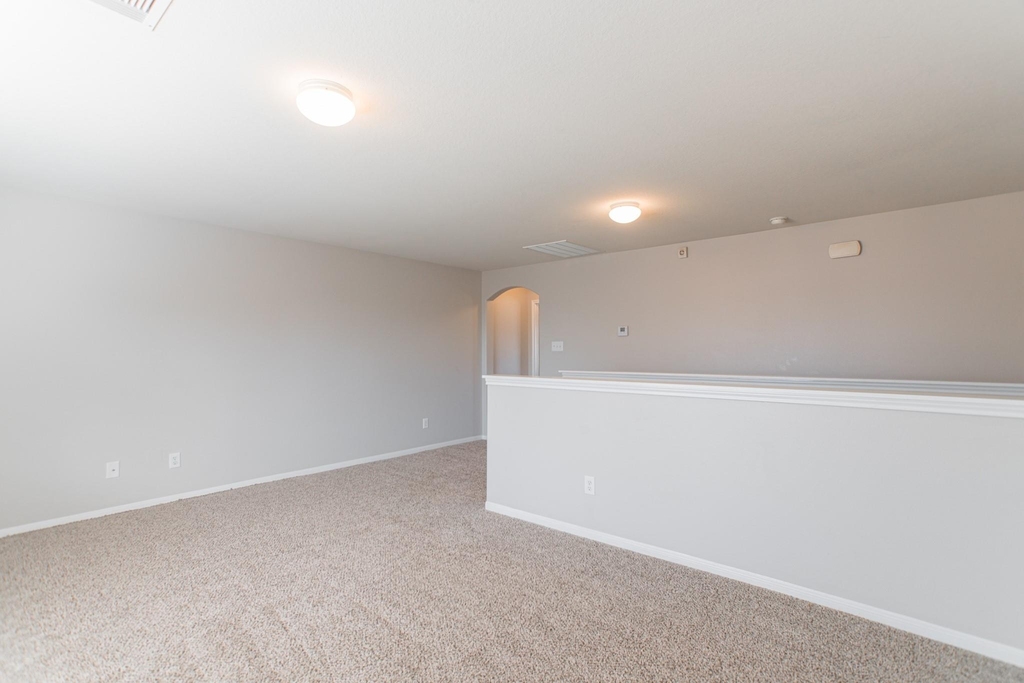 22519 Goss Spring Court - Photo 31