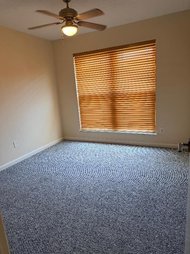 2411 Woodwind Rd - Photo 11