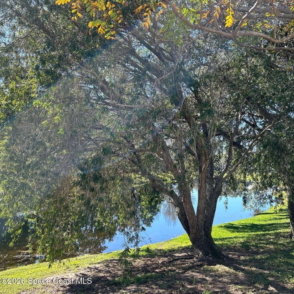 1281 Rock Springs Drive - Photo 19