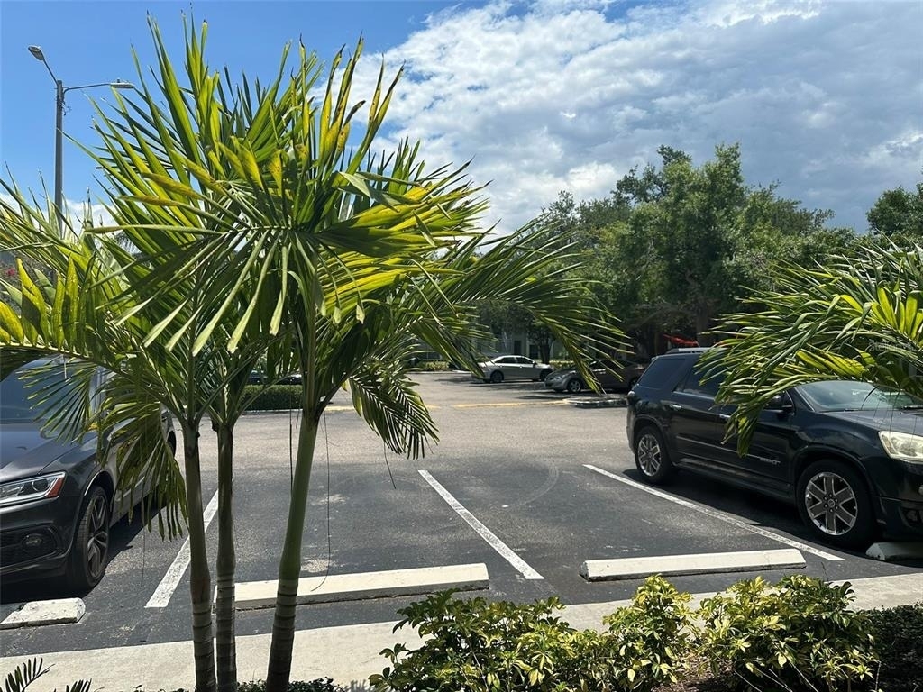 5440 S Macdill Avenue - Photo 5