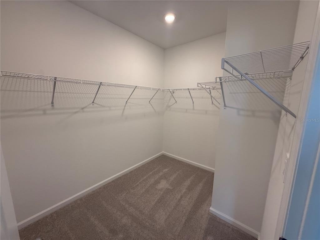 3049 Chromatic Street - Photo 13