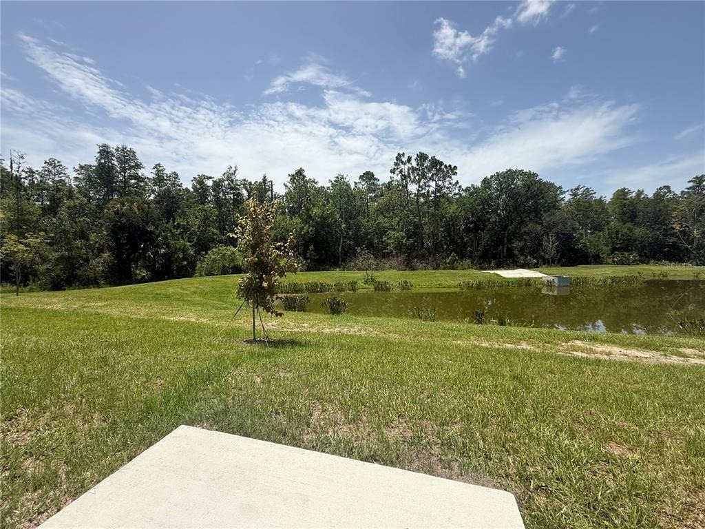 3049 Chromatic Street - Photo 22