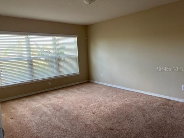 12120 Tripletail Lane - Photo 8