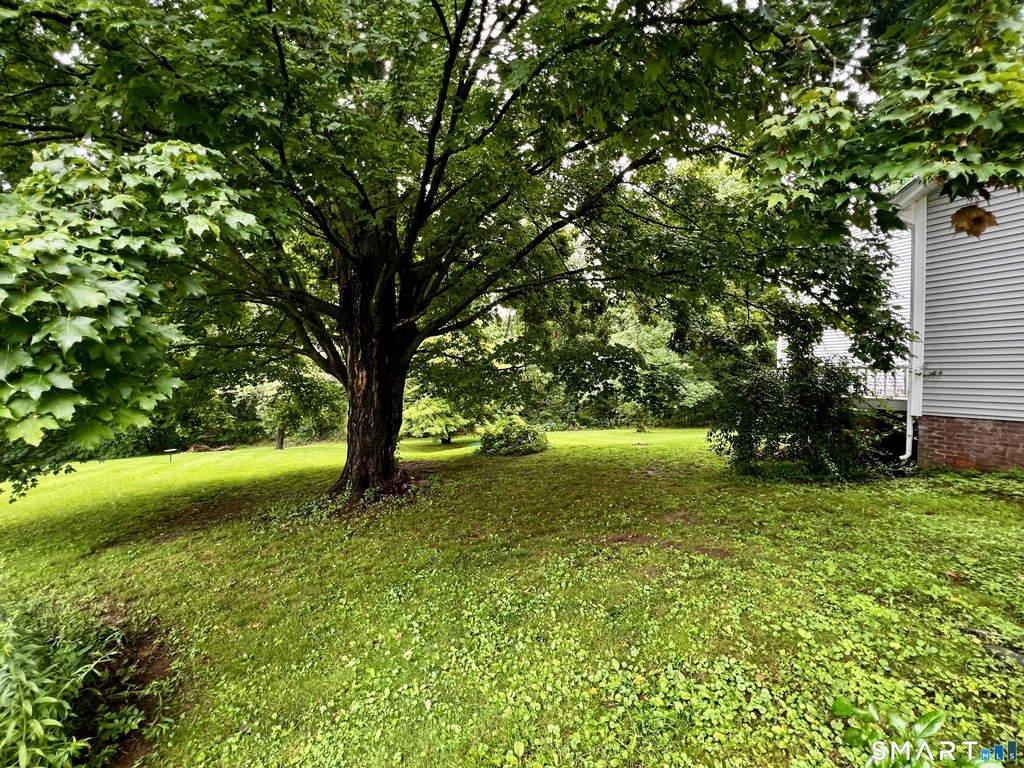 128 East Street - Photo 6