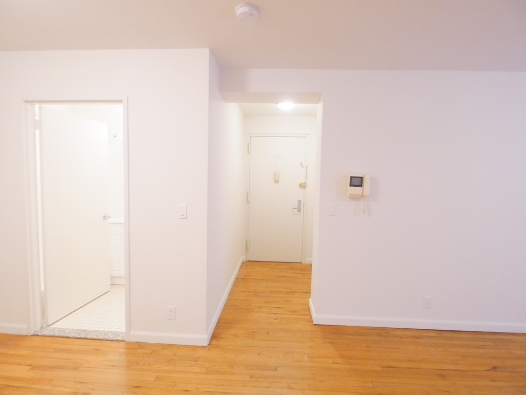 225 East 85th Street - Photo 4