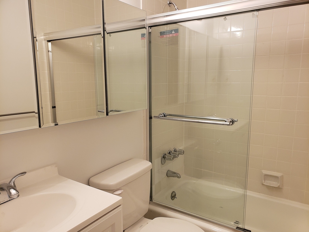 West 52nd Street - Photo 5