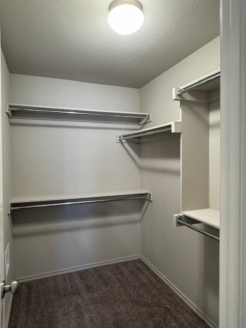 12928 Nw 4th Terrace - Photo 13
